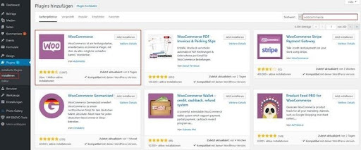 How to make an online store in WordPress
